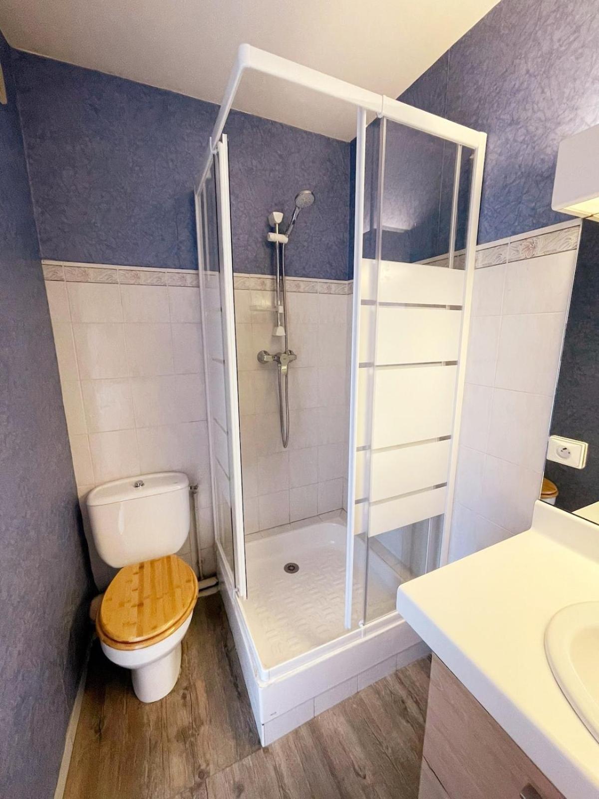 Plages,palais Des Festivals,port,zone Pietonne,suquet Appartement